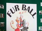 Furball 2013