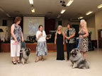 Furball 2013