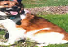 Billy Billy